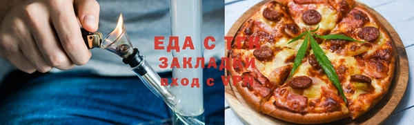 индика Инта