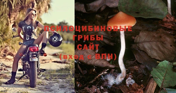 дмт Иннополис