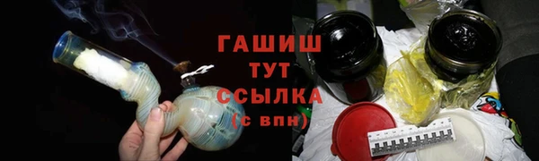индика Инта