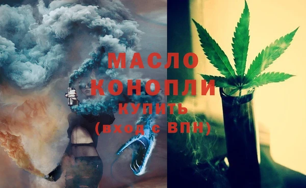 индика Инта